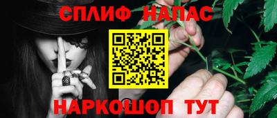шишки Ставрополь