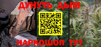 шишки Ставрополь