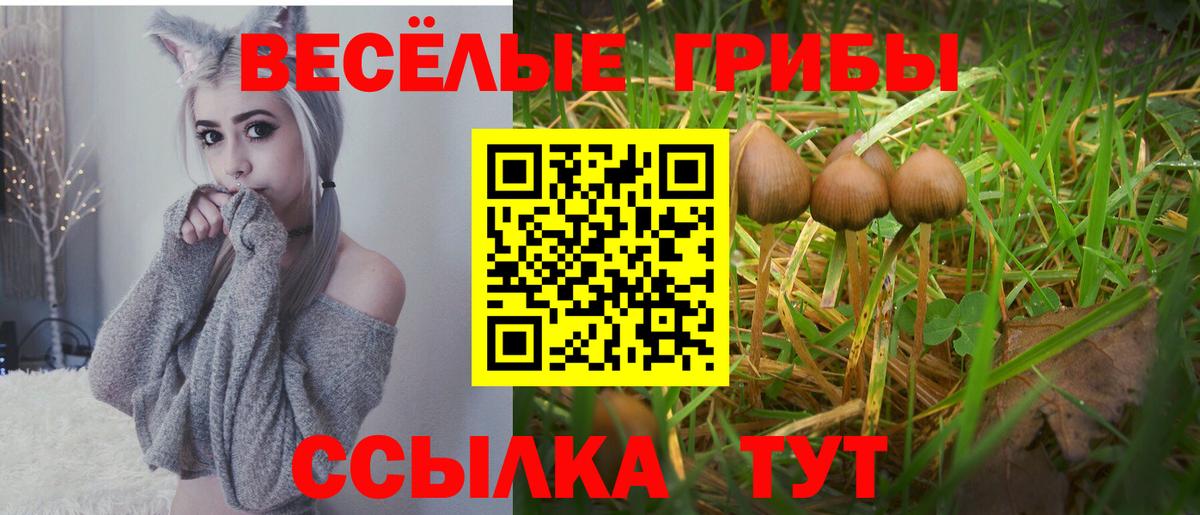Галлюциногенные грибы Magic Shrooms Новосибирск